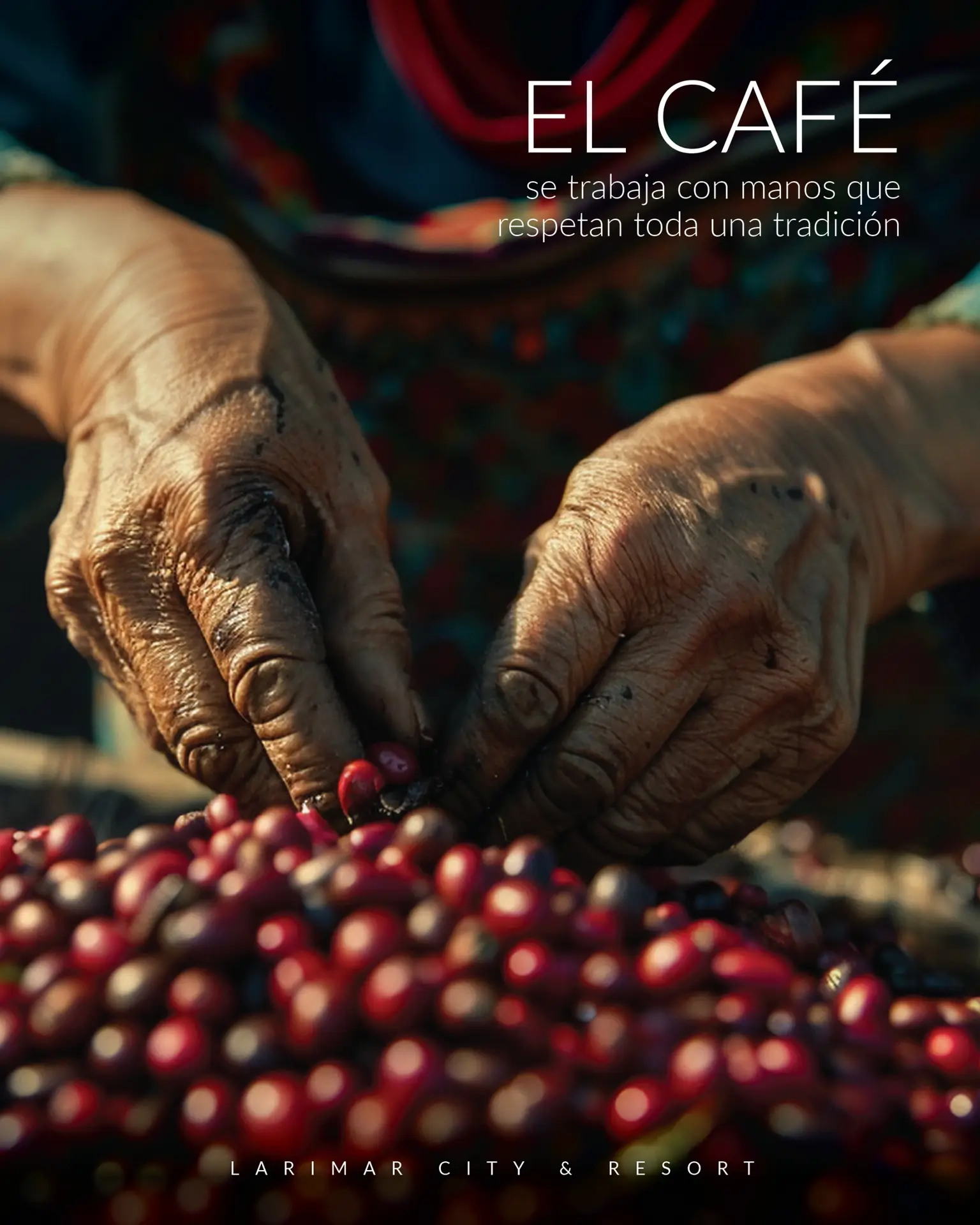 Café de Santo Domingo: el aroma que define a una nación y conquista el mundo